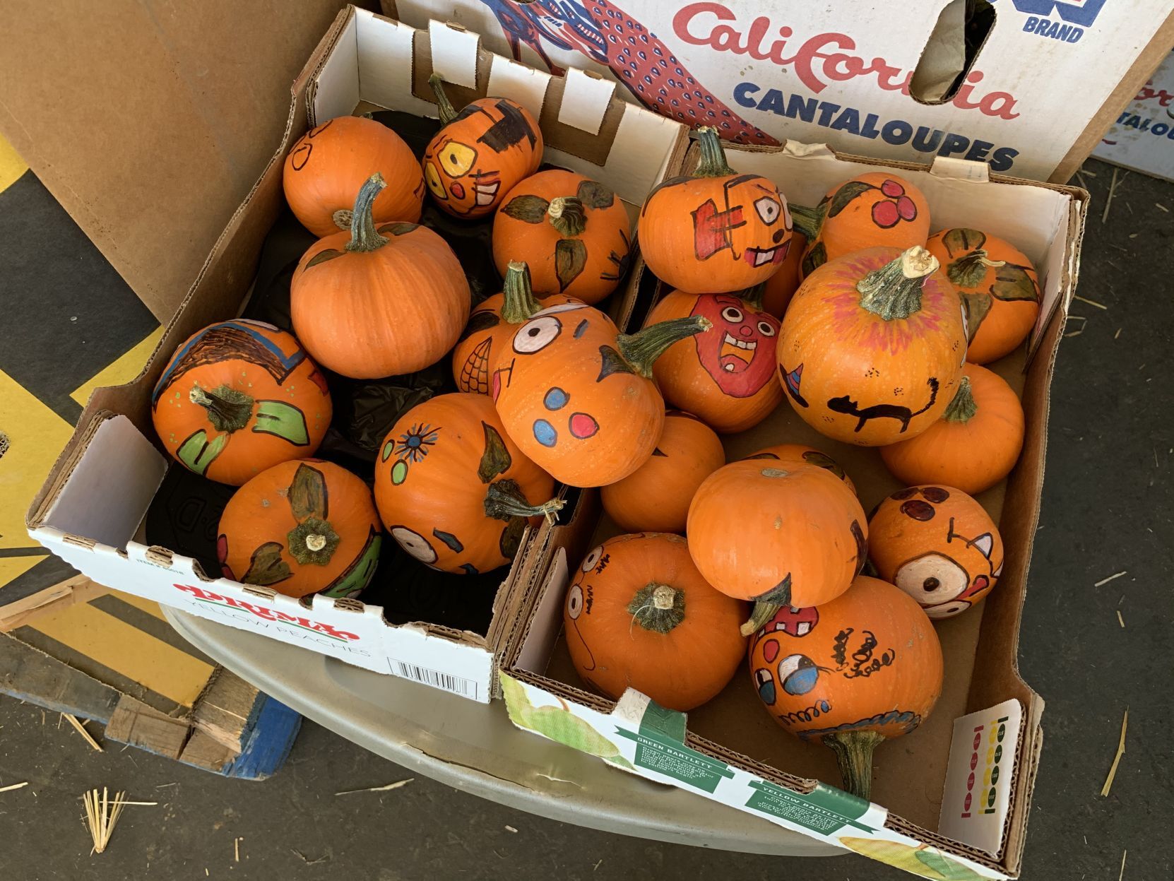 2020 pumpkin patch